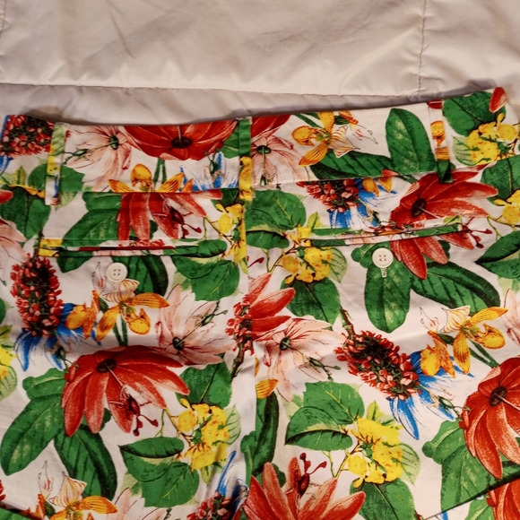 New York & Company Shorts - Picture 5 of 5